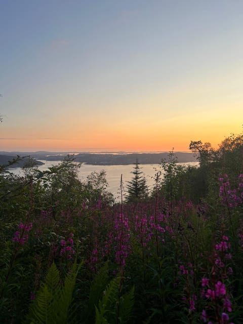 Bergen Magical Nature Tour | ViFlowExperience - Riding the Fløibanen to Fløyen