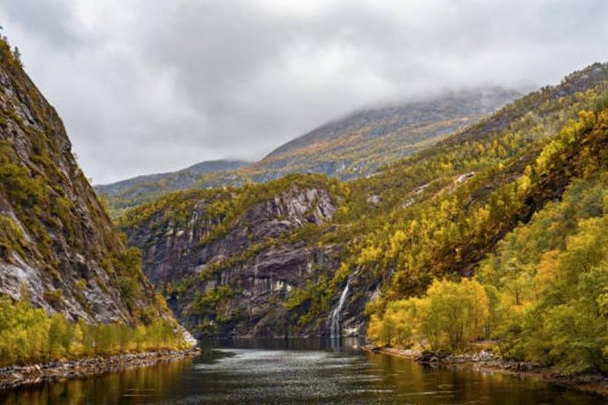 Bergen: Mostraumen Fjord Cruise - Is $150.20 good value?