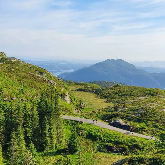 Bergen: Mountain hike on top of Bergen - Public tour - Meeting at Strandkaien and getting ready