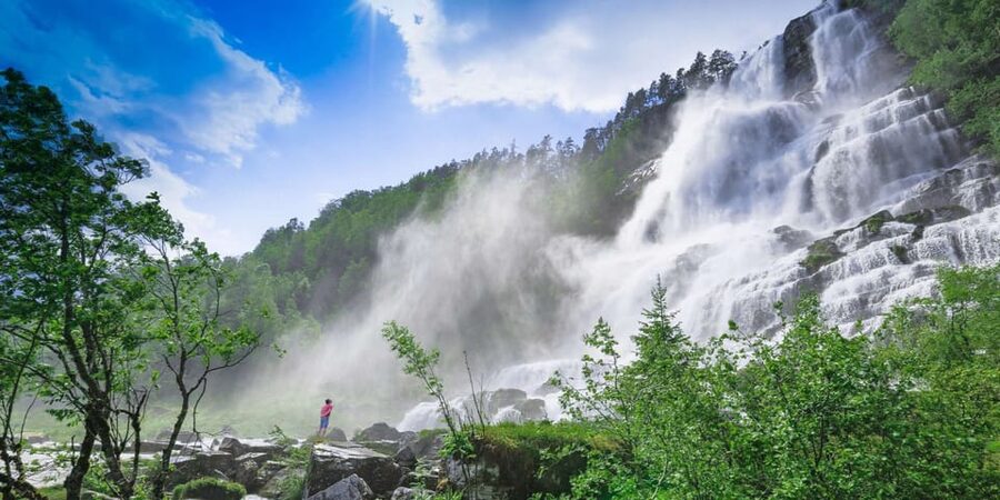 Bergen: Nærøyfjorden, Flåm, and Stegastein Guided Bus Tour - The five details that shape the day