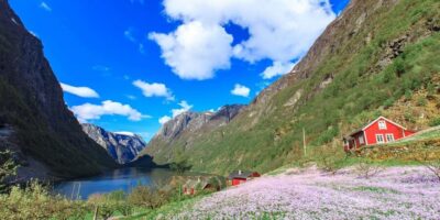 Nærøyfjorden, Flåm, and Stegastein Guided Bus Tour