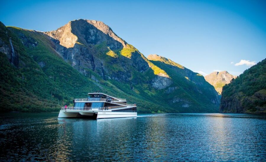 Bergen: Private Day Tour, Nærøyfjord Cruise and Flåm Railway - The Nærøyfjord cruise is the heart of the day