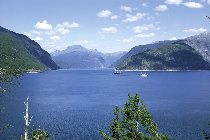 Bergen: Private Full-Day Roundtrip to Hardangerfjord with cruise - Øvre Eidfjord and the Hardangervidda Nature Centre