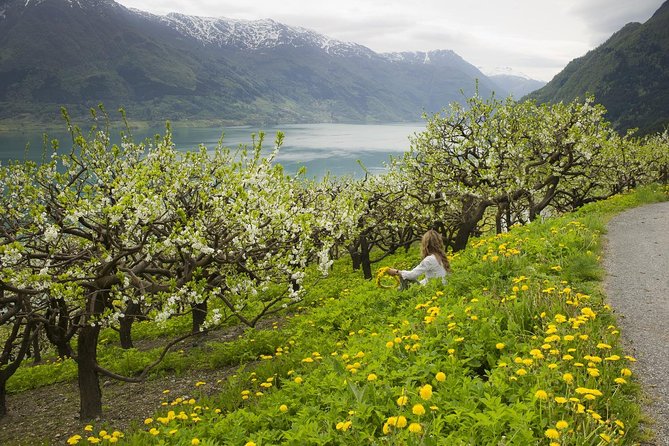 Bergen: Private Full-Day Roundtrip to Hardangerfjord with cruise - Lunch in Norwegian style