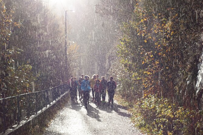 Bergen Private Walking Tour with a Local - What the guides add, and where the service can fail