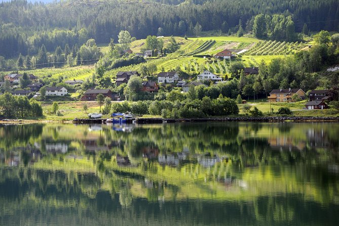Bergen: Self-Guided Roundtrip (Sognefjord Cruise 5h & Flamsbana) - Free time in Flåm