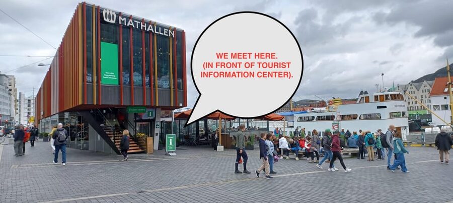 Bergen: Sightseeing Walking Tour with Ferry Ride - Festplassen and the Final City View