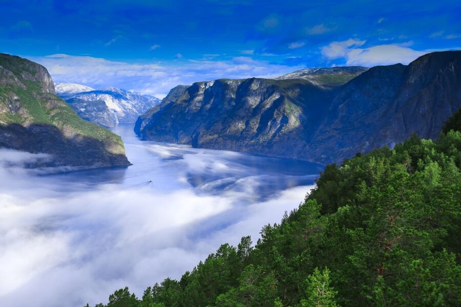 Bergen: Viking Village, Nærøyfjord Cruise & Flåm Railway - Key points before you book