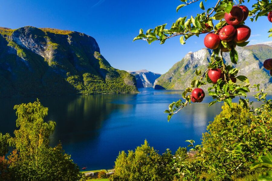 Bergen: Viking Village, Nærøyfjord Cruise & Flåm Railway - Njardarheimr brings the Viking age to Gudvangen