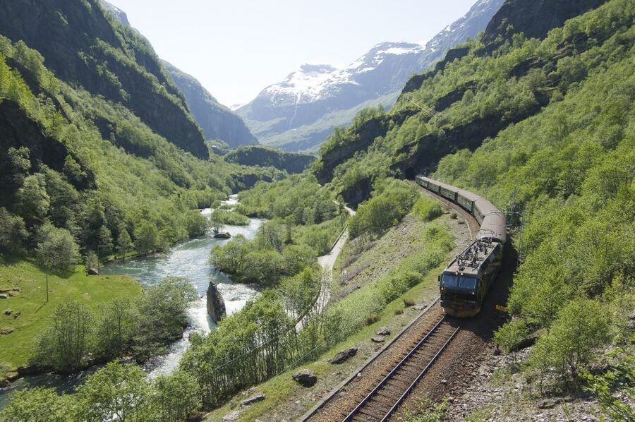 Bergen: Viking Village, Nærøyfjord Cruise & Flåm Railway - The Nærøyfjord by electric ferry