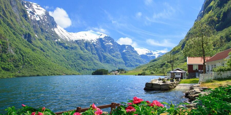 Bergen: Viking Village, Nærøyfjord Cruise & Flåm Railway - Myrdal to Voss, then the long ride home