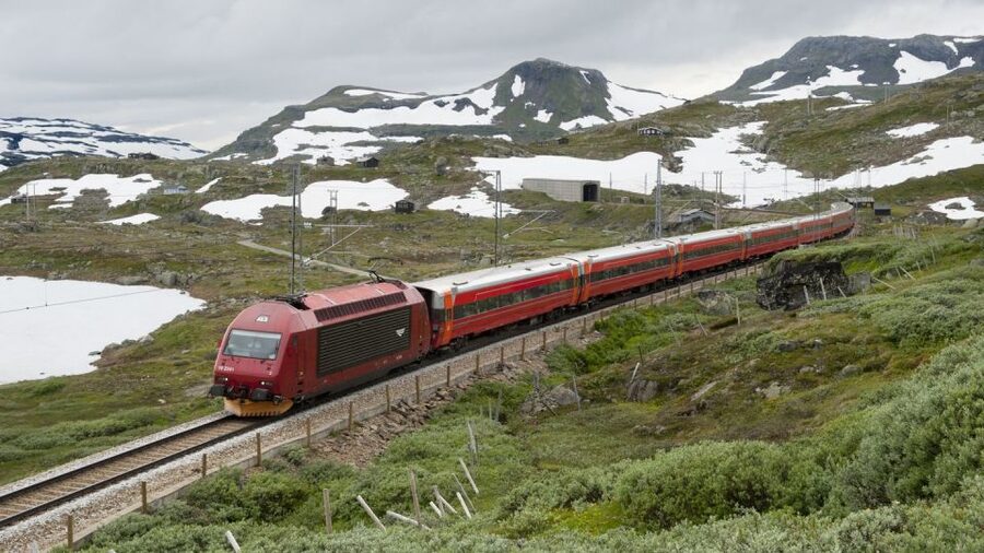 Bergen: Viking Village, Nærøyfjord Cruise & Flåm Railway - What the $418 price really buys