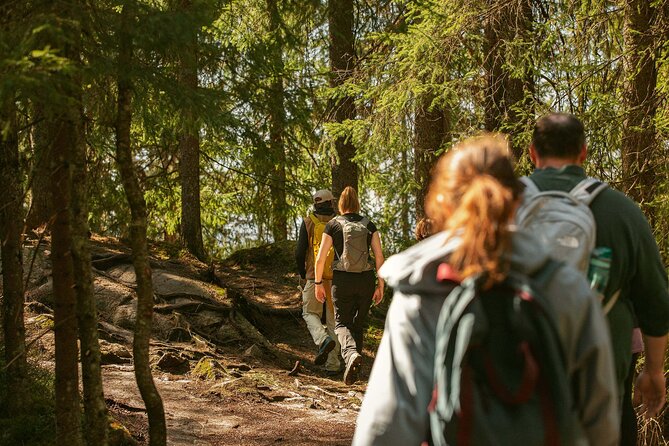 Best View of the Oslofjord Hike - Frognerseteren and the first forest paths