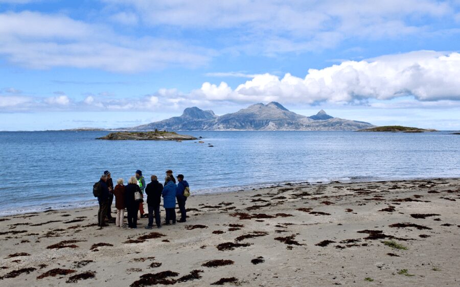 Bodø: Arctic Coastal Walk - The beach start and two hours beside the sea