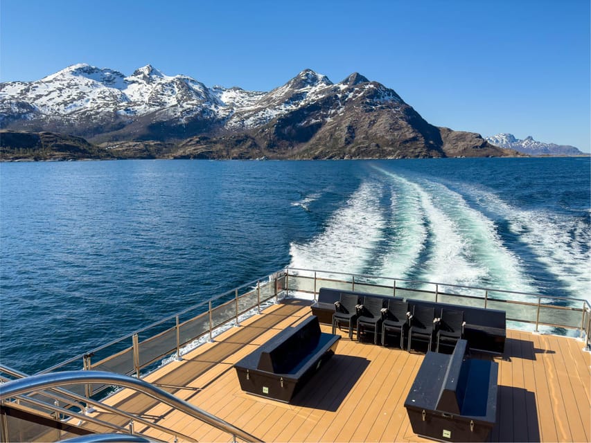 Bodø: Beiar Fjord & Saltstraument Cruise - Five details that shape the experience