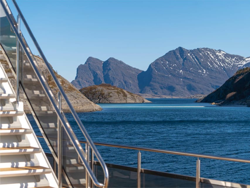 Bodø: Beiar Fjord & Saltstraument Cruise - Wildlife adds an element of luck