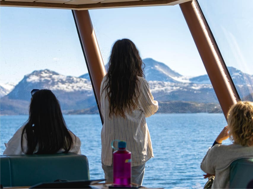 Bodø: Beiar Fjord & Saltstraument Cruise - Practical advice for the four hours