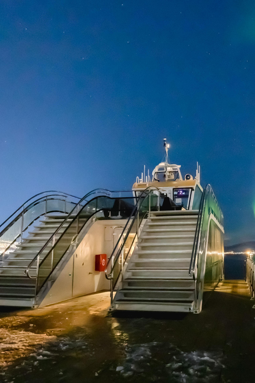 Bodø: Northern Lights Cruise - Key things to know before sailing