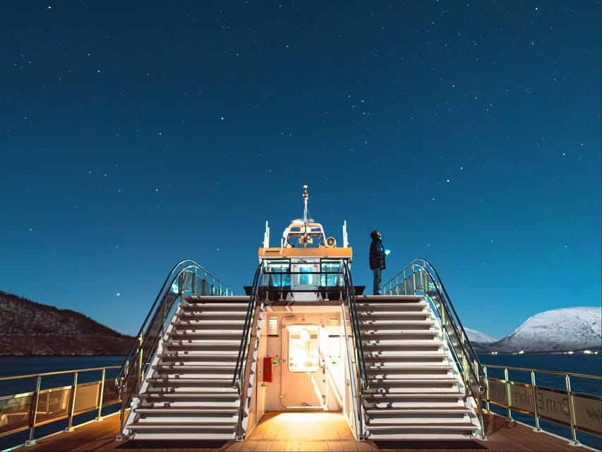 Bodø: Northern Lights Cruise - What three hours feels like