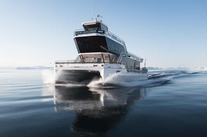 Bodø: Northern Lights Cruise - Is $103 a fair price?