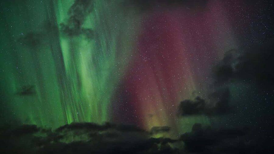 Bodø: Northern Lights safari - Key points to know before you book