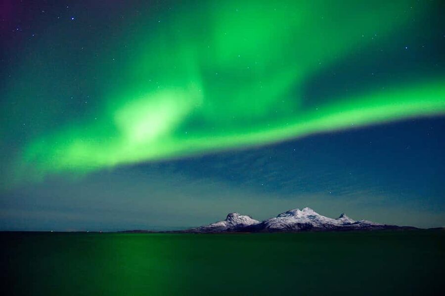 Bodø: Northern Lights safari - Photography with a phone or camera