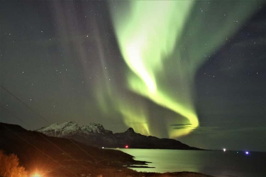 Bodø: Northern Lights safari - The cold is not a footnote