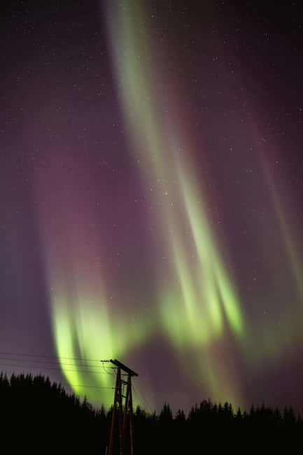 Bodø: Northern Lights safari - Is $181 a fair price?