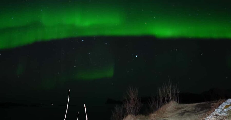 Chase the Magic of the Northern Lights in Tromsø Norway - Key points before you book