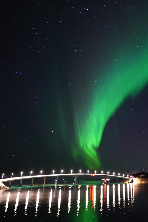 Chase the Magic of the Northern Lights in Tromsø Norway - Meeting outside Tromsø City Library