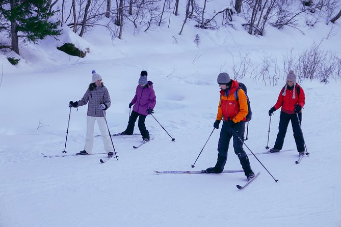 Cross-Country Ski Lesson for Beginners in Tromso - Snow Conditions Can Change the Lesson