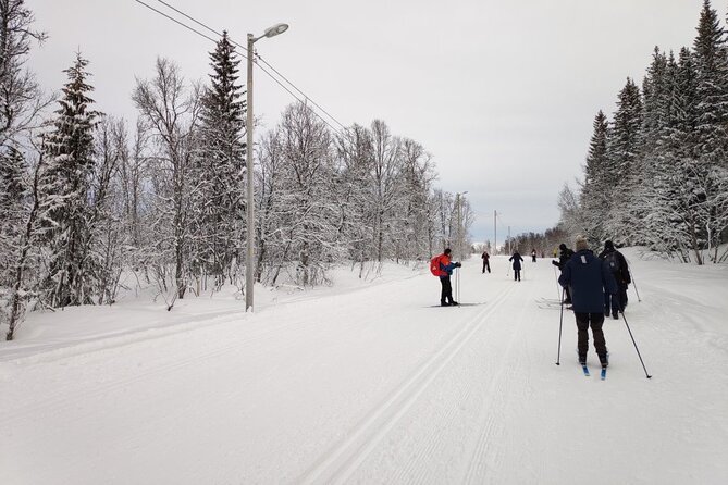 Cross-Country Ski Lesson for Beginners in Tromso - Is $134.97 Good Value?