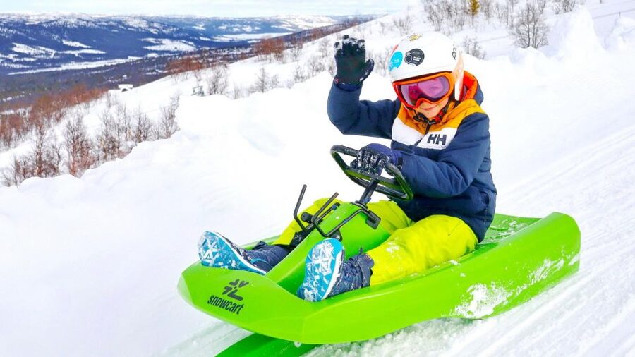 Dagali: 2-Hour Racing Toboggan Adventure - Key points at a glance