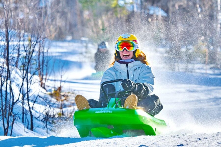 Dagali: 2-Hour Racing Toboggan Adventure - What the praise gets right