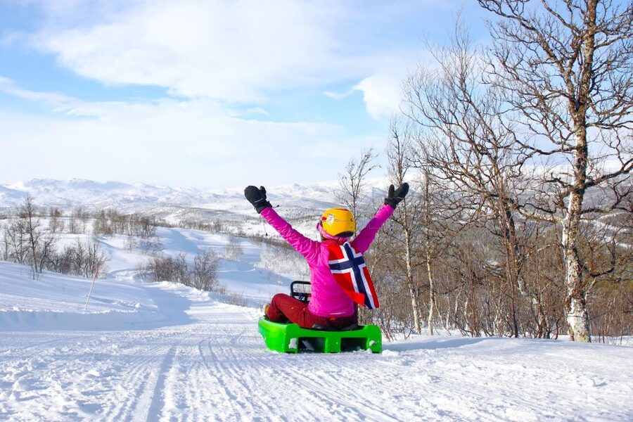 Dagali: 2-Hour Racing Toboggan Adventure - A long sled run near Geilo