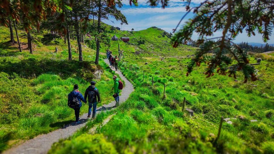 Discover Haugesund and visit a local mountain farmer - Walking the short but steep trail