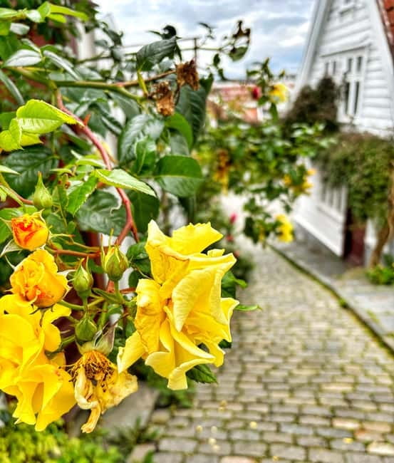 Discover Private+ Stavanger Guided City Tour - A flexible way to get your bearings in Stavanger