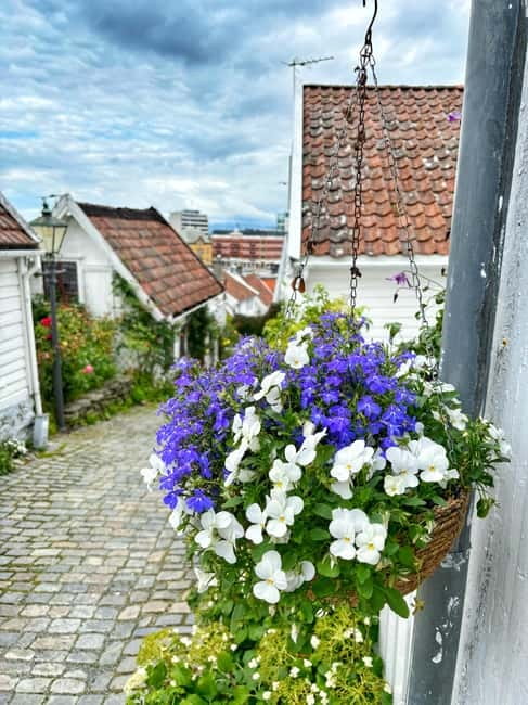 Discover Private+ Stavanger Guided City Tour - Stavanger’s corners, views, and city character