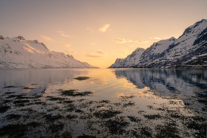 Discover the Fjords of Kvaloya - a roadtrip along fjords and fishing villages - What Happens on the Five-Hour Route