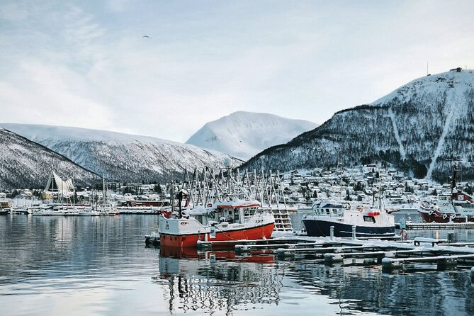 Discover the most Photogenic Spots of Tromsø with a Local - What this Tromsø walk is really designed to do