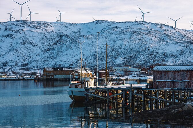 Discovery tour of the island of Senja and Kvaløya from Tromsø - Why this long island day makes sense from Tromsø