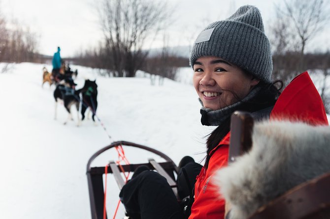 Dog Sled Tour and Husky Cuddles - Why dog sledding works so well in Alta