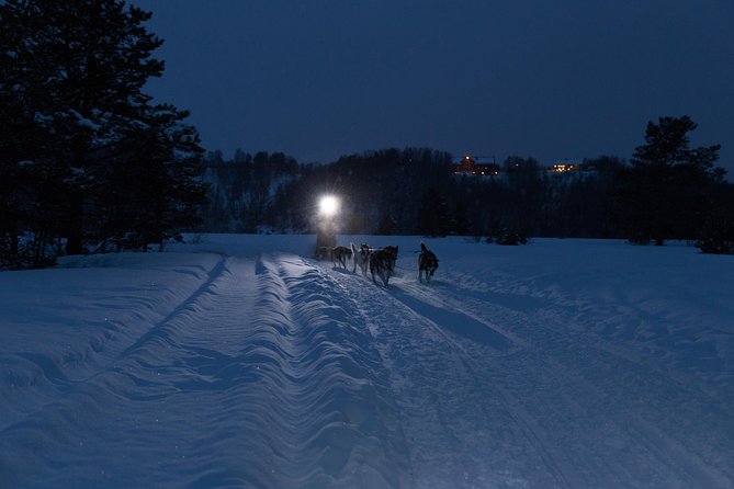 Dog Sled Tour and Husky Cuddles - Meeting the team at 9:00 a.m.