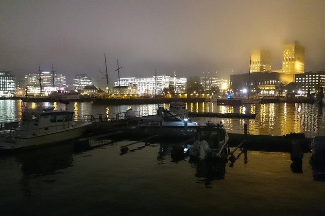 Downtown Oslo: Self-Guided Highlights and History Audio Tour - Karl Johan Avenue, Oslo’s main public boulevard