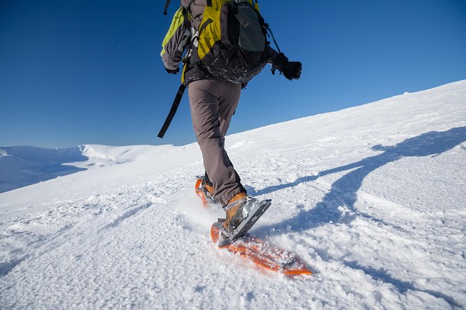 Eco friendly snowshoeing in Scenic Landscape - Starting at the Scandic Ishavshotel