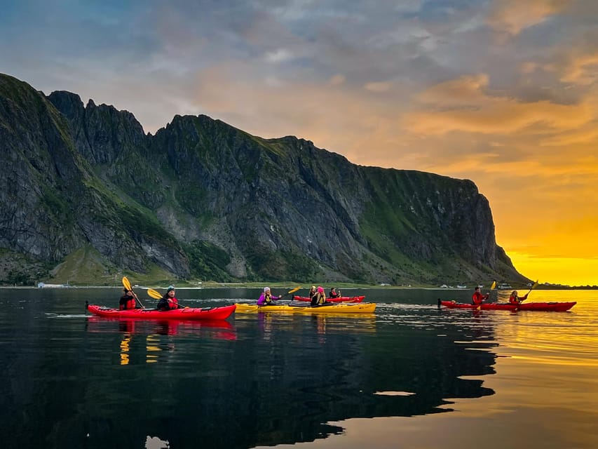 Eggum: Lofoten Islands Midnight Sun Kayak Tour - Watching birds and local wildlife from the water