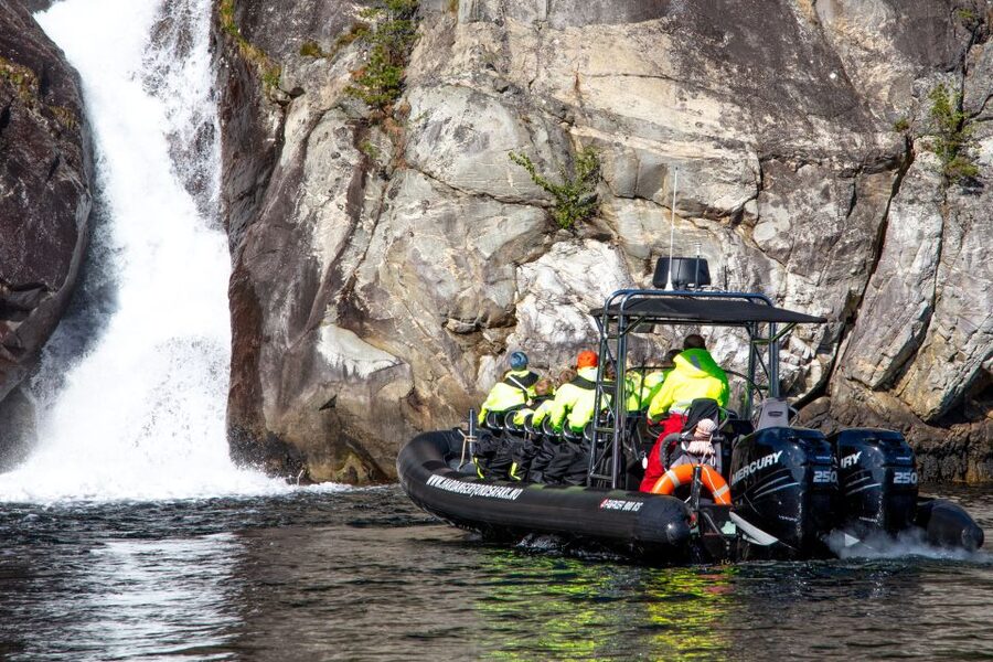 Eidfjord: 1-Hour Fjord RIB Tour - Goats, seals, eagles, and the search for movement