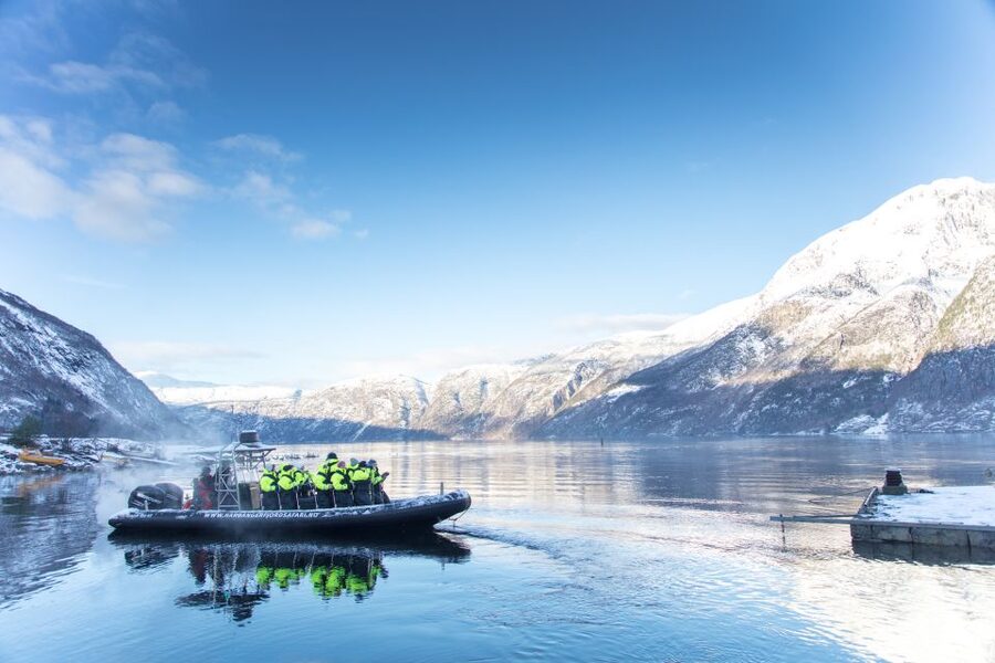 Eidfjord: 1-Hour Fjord RIB Tour - Who gets the best value from $83?