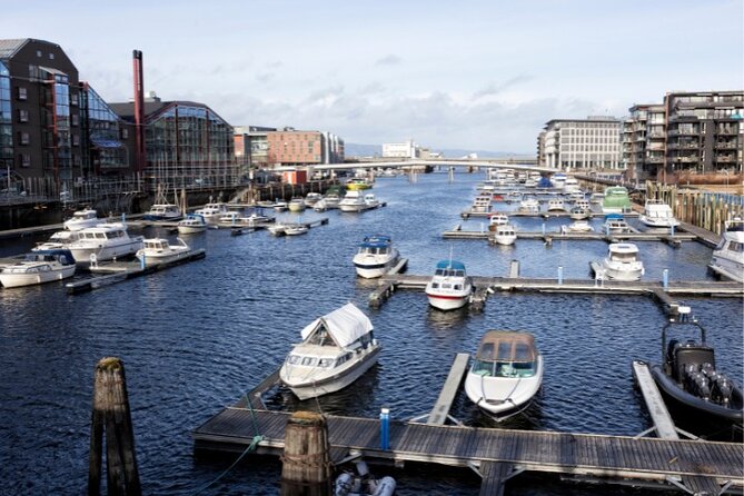 Exclusive Guided & Customized Private Oslo City Tour in Limo - What the private guide adds