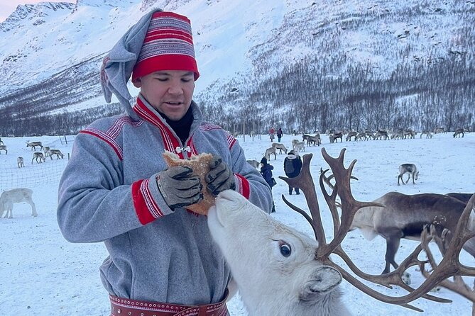 Exclusive Reindeers Experience in small groups, Tromso - What to wear and bring